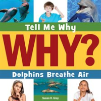 Dolphins Breathe Air by Gray, Susan H